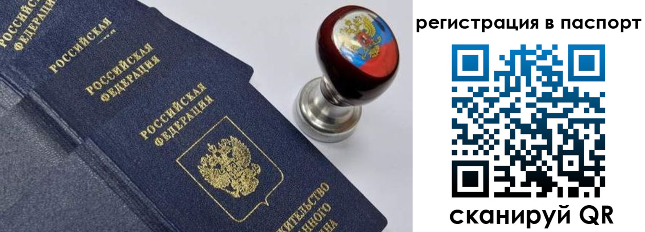 прописка поиск в Ингушетии